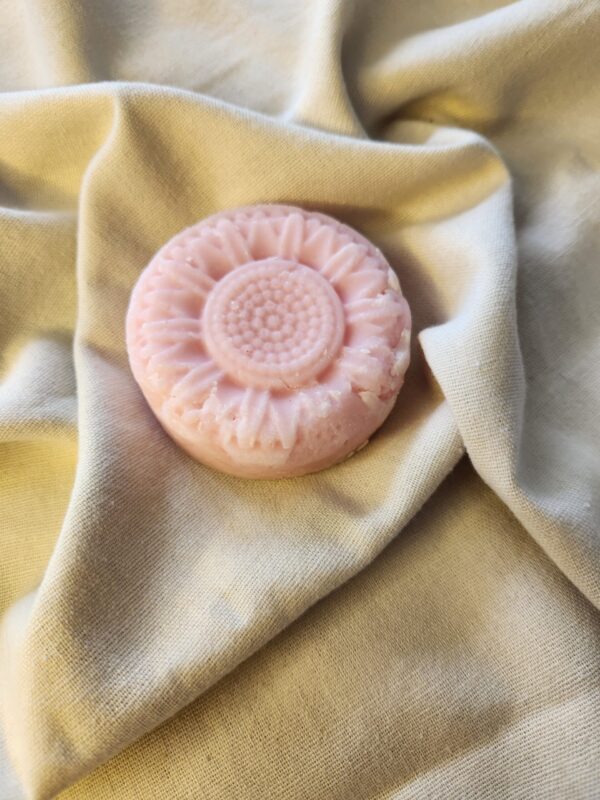 Volume & Shine Shampoo Bar